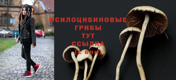 гидропоника Богданович