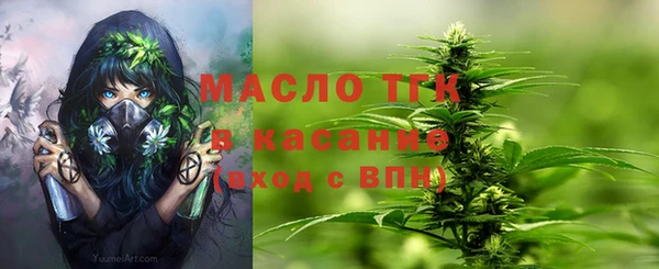 спиды Богородск