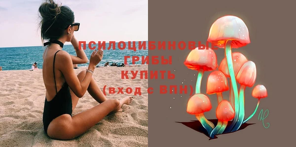 ПСИЛОЦИБИНОВЫЕ ГРИБЫ Беломорск