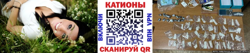 МЯУ-МЯУ мяу мяу  Бокситогорск 