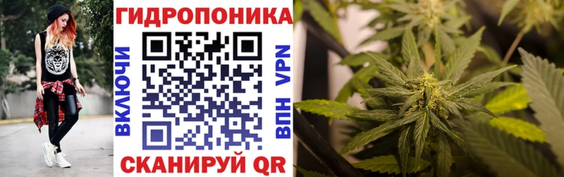 Каннабис Ganja  Бокситогорск 